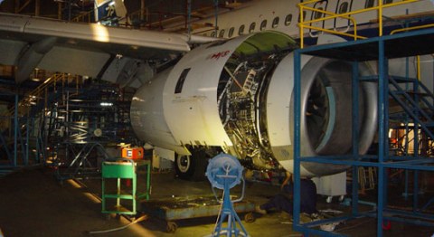 Image Not Found On Media Library