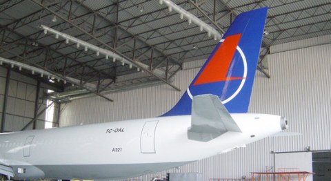 Image Not Found On Media Library