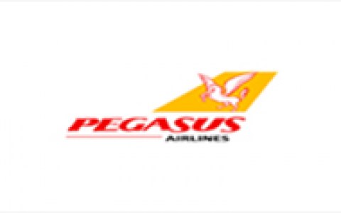 Image Not Found On Media Library