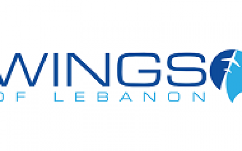 Image Not Found On Media Library