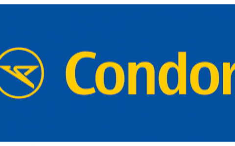 Image Not Found On Media Library